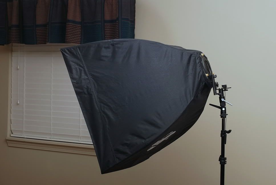 IMAGE: http://img.photobucket.com/albums/v482/Tonesearch/DSC_0014r.jpg