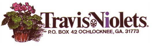 Travis Violets