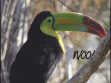 hehehe!