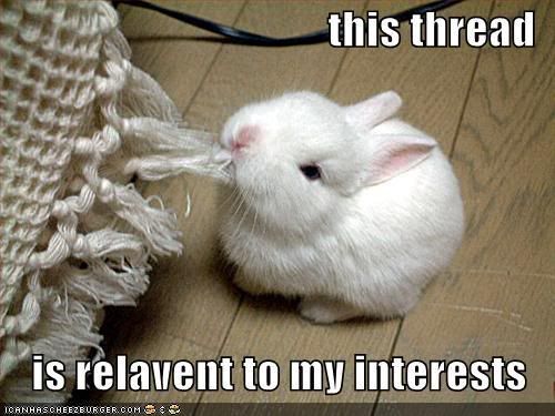 [Image: funny-pictures-rabbit-eats-thread.jpg]