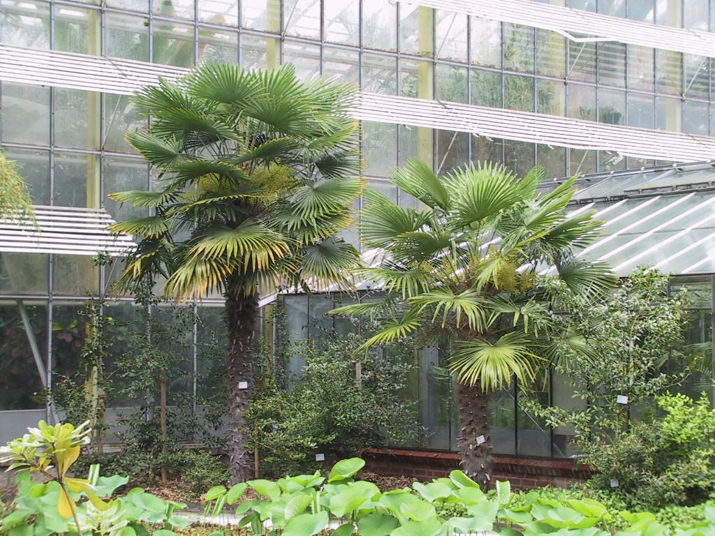 Image hosted by Photobucket.com