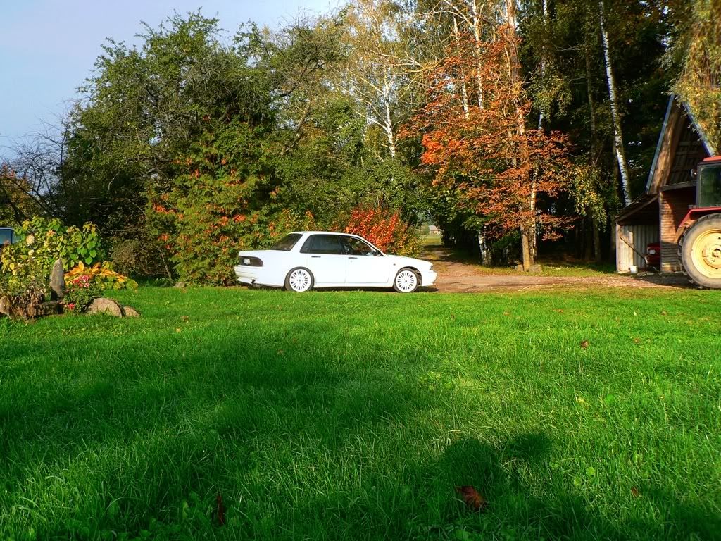 Paveikslėlis