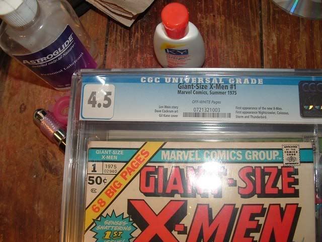 Picture1506-XMenGiant01-resize.jpg