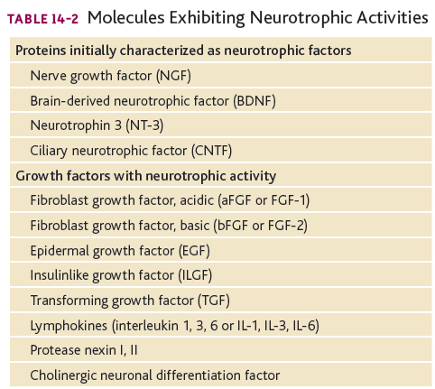 a-Neutropics_zpsd33bd64d.png