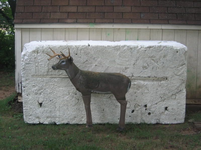 DeerTarget.jpg