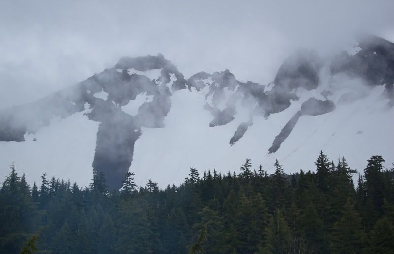 IMAGE: http://img.photobucket.com/albums/v483/sheldonnalos/IMG_0241.jpg