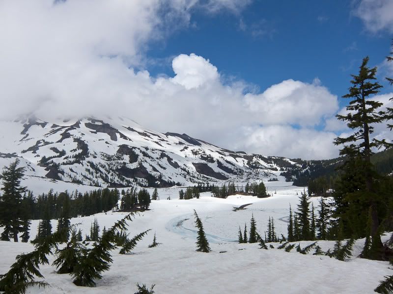 IMAGE: http://img.photobucket.com/albums/v483/sheldonnalos/IMG_0242.jpg