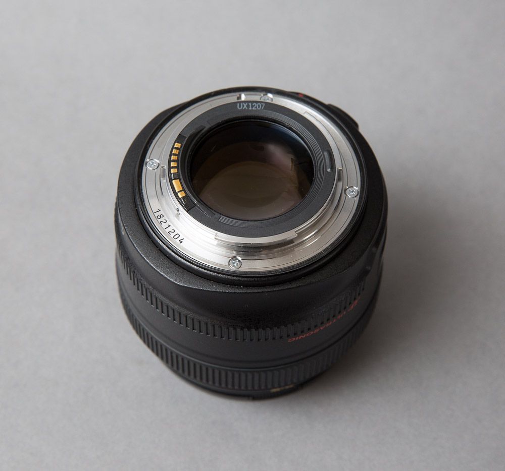 IMAGE: http://img.photobucket.com/albums/v483/sheldonnalos/_MG_3428_zpsxf3bkmxo.jpg