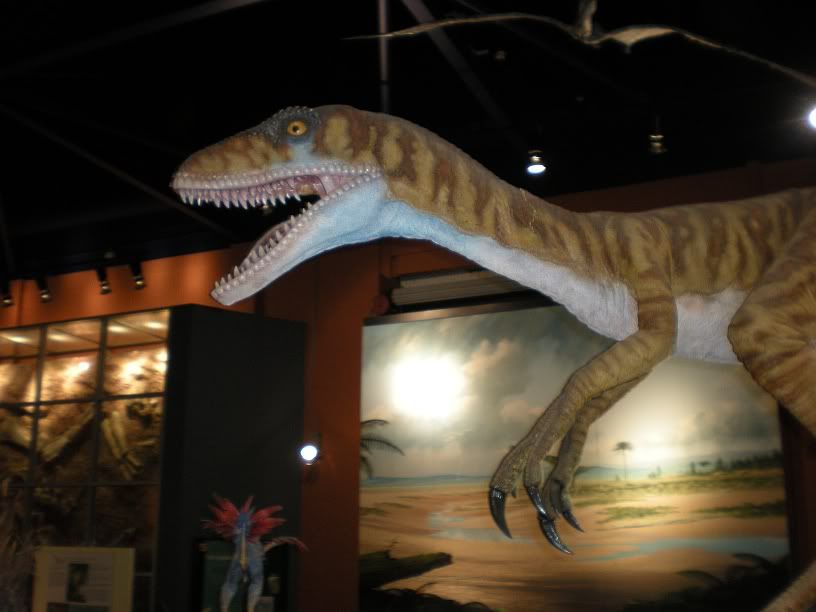 dinosaur isle museum