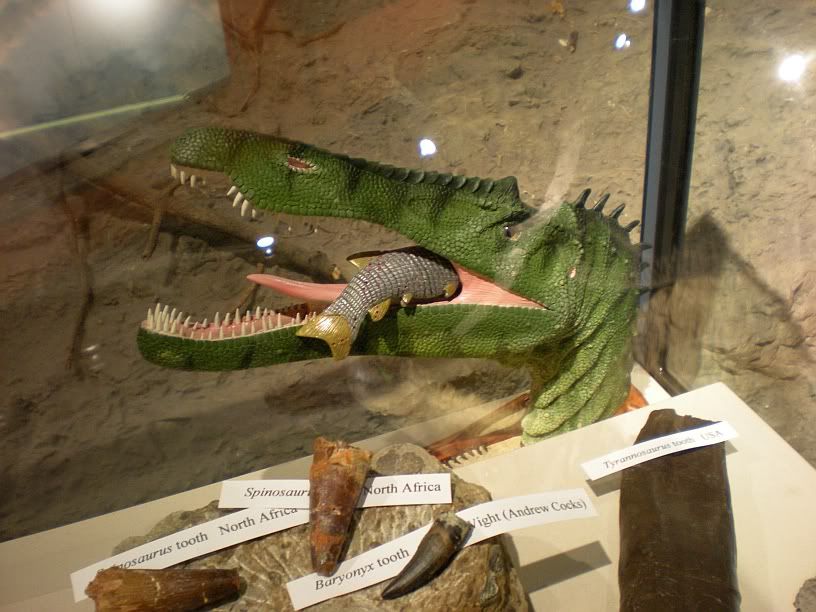 dinosaur isle museum