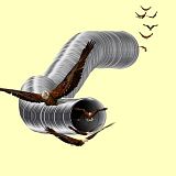 eagletube2 photo eagletube2.jpg