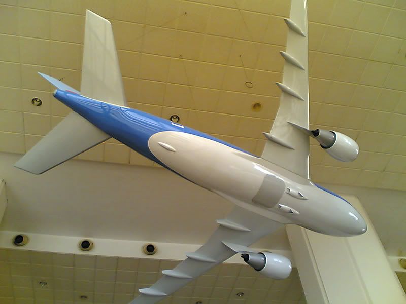 310.jpg