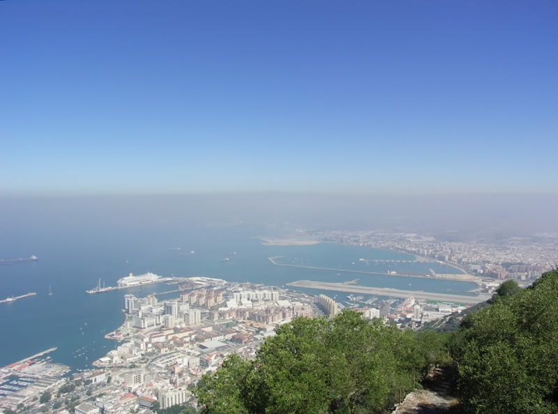 GIBVIEW2.jpg