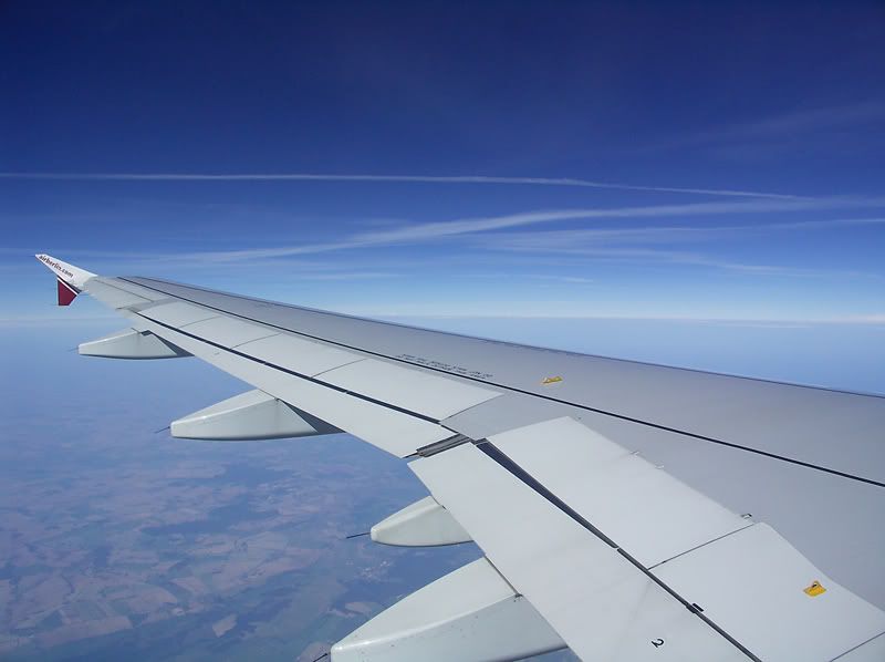 flyy.jpg