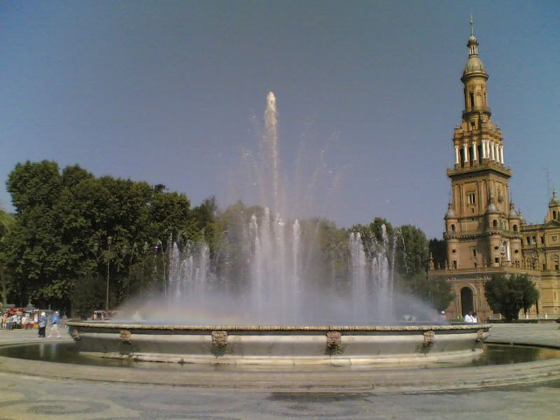 sivi1.jpg