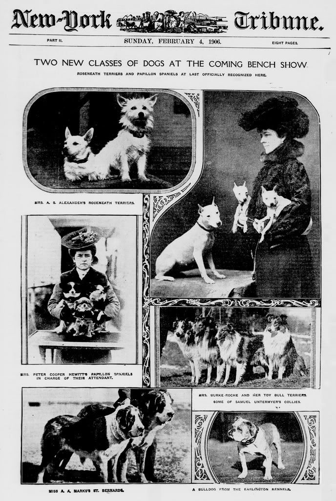 1906 Dog Show Headline photo 1906Various.jpg