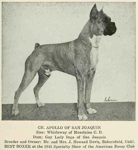 1945_Boxer.jpg