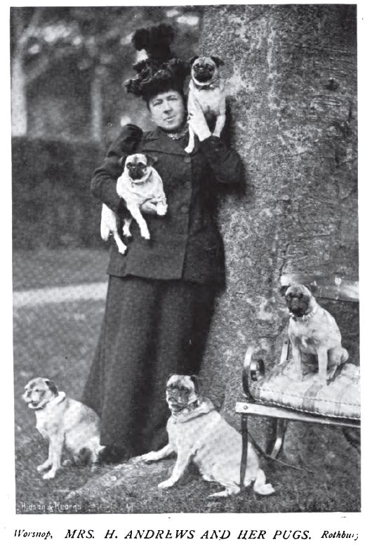 1897 Pugs photo 1897_Pugs_MrsHAndrews.jpg