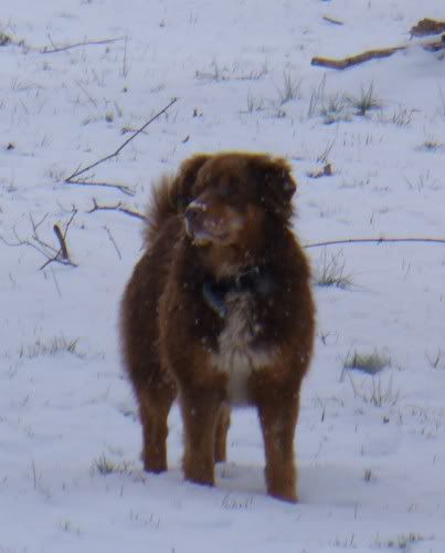 IMAGE(http://img.photobucket.com/albums/v485/TMSmod/SnowDawgs/w4t634.jpg)