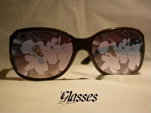 sunglassbee-1.jpg