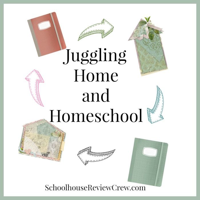  photo Juggling-Homeschool-Homemaking_zpskoul3oyl.jpg