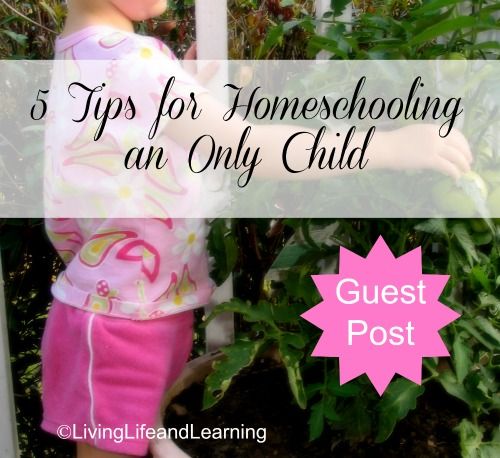 Tips for Homeschooling an only child