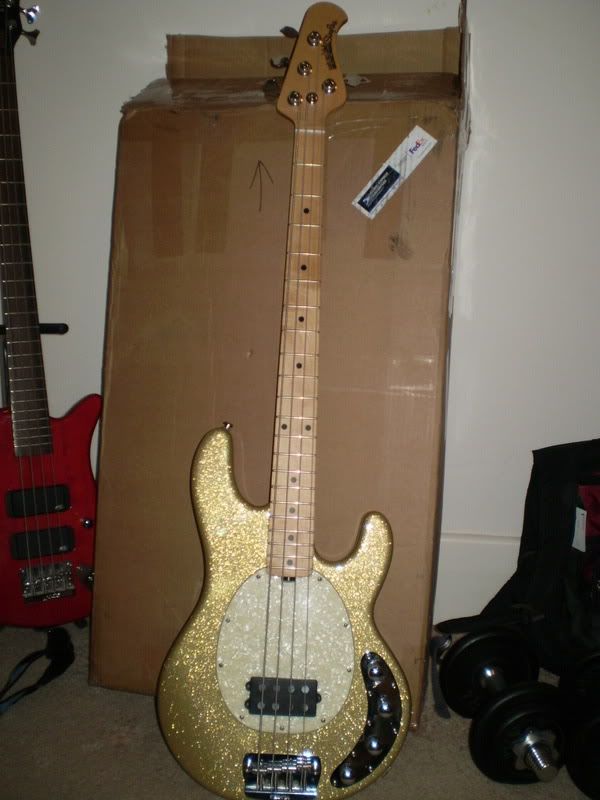 http://img.photobucket.com/albums/v485/stevo87/P2190427.jpg