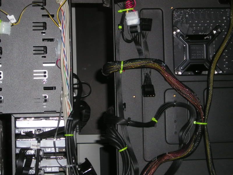 P1010003.jpg