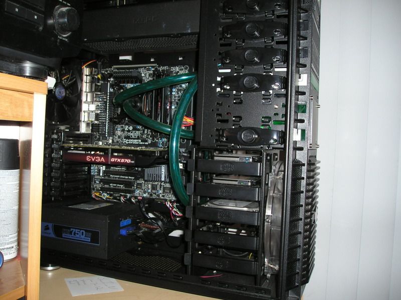 P1010007-1.jpg