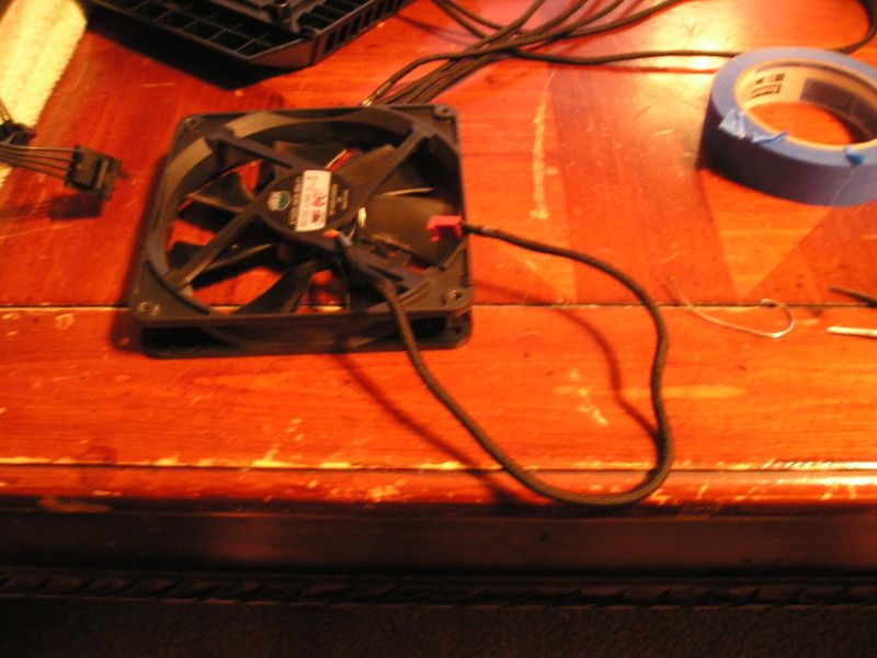 P1010027.jpg