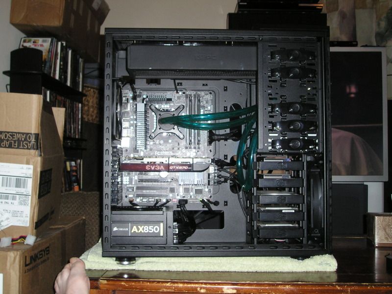 P1010030-1.jpg