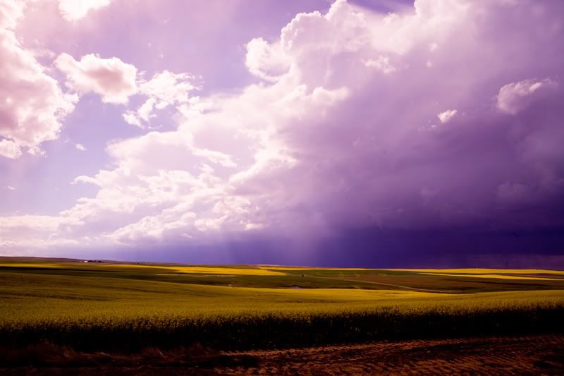 IMAGE: http://img.photobucket.com/albums/v486/elfieh/IMG_0608.jpg