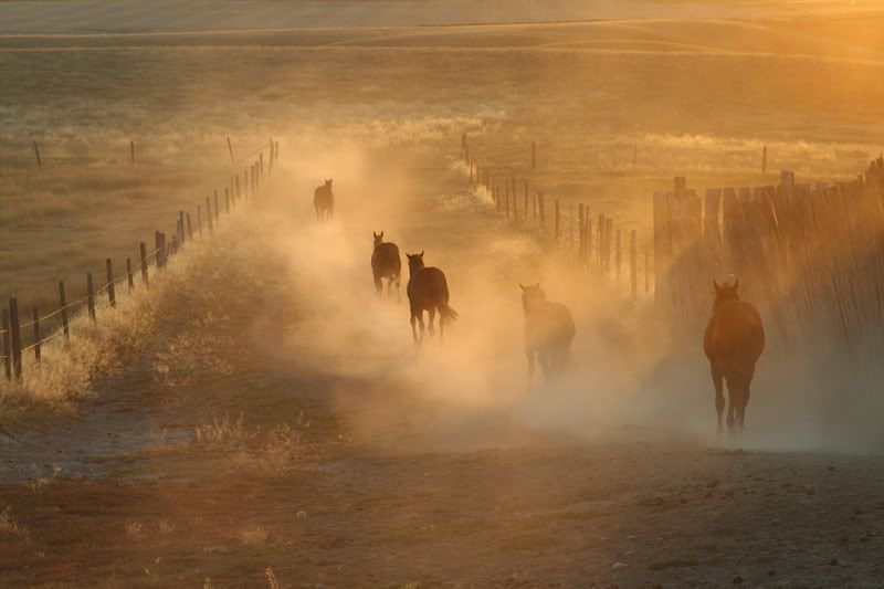 IMAGE: http://img.photobucket.com/albums/v486/elfieh/IMG_5396.jpg