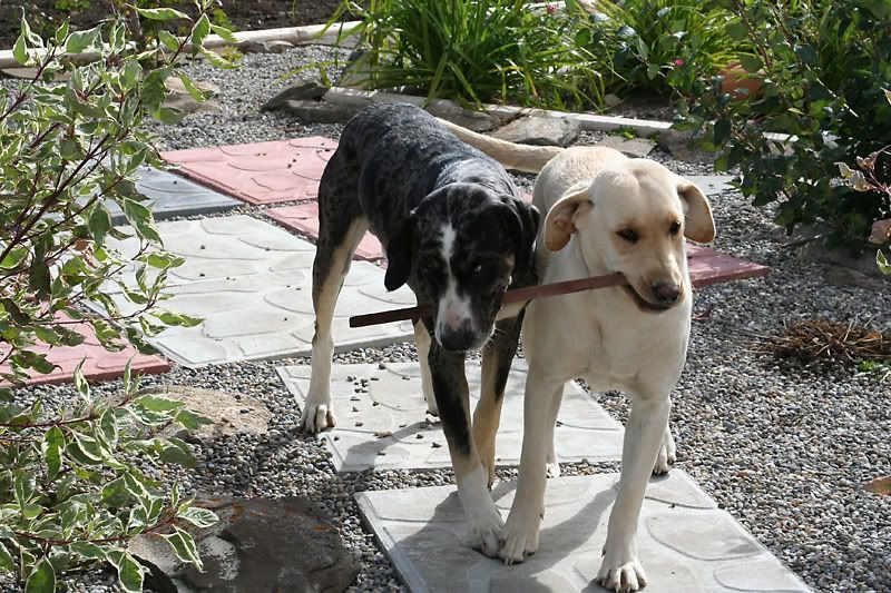 IMAGE: http://img.photobucket.com/albums/v486/elfieh/IMG_6220.jpg