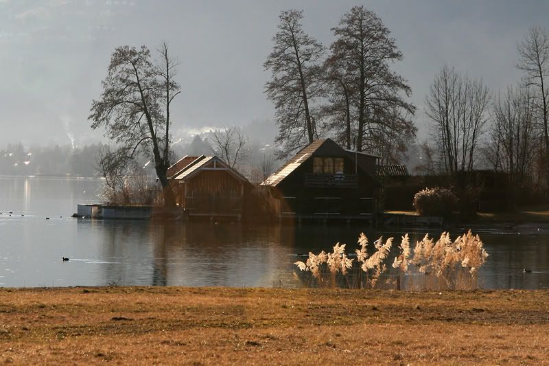 IMAGE: http://img.photobucket.com/albums/v486/elfieh/IMG_7590_f.jpg