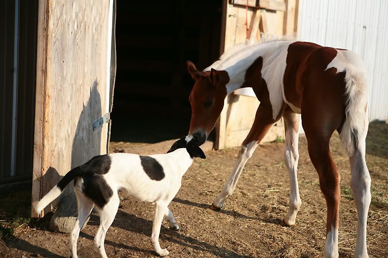 IMAGE: http://img.photobucket.com/albums/v486/elfieh/IMG_8607.jpg