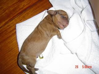 Image hosted by Photobucket.com