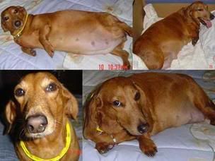 Image hosted by Photobucket.com