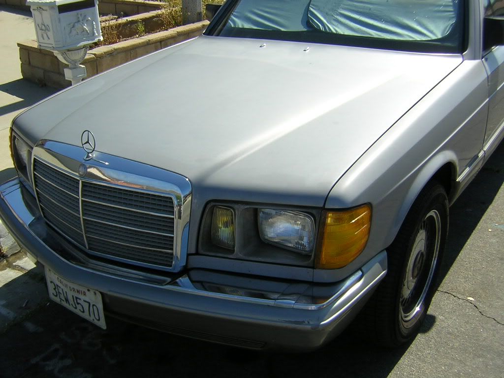 DSCN1778.jpg