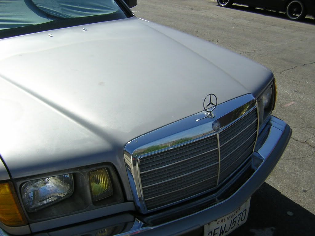 DSCN1779.jpg