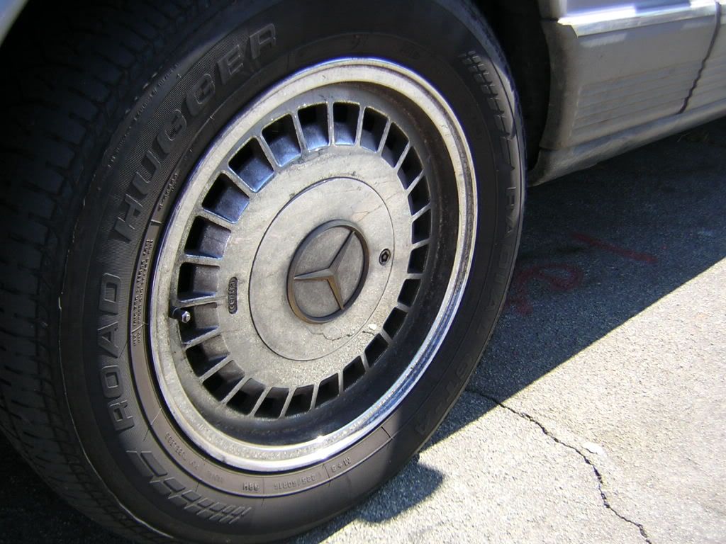 DSCN1781.jpg