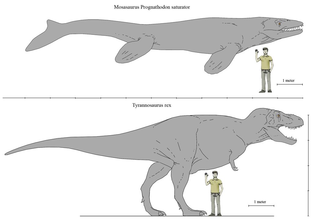 water t rex