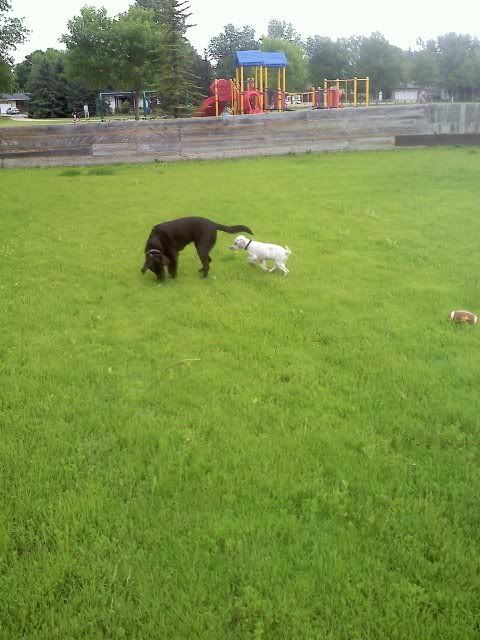 20140625131436_zps749b095d.jpg