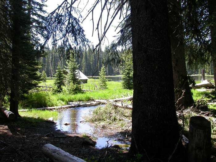 [Image: MuskratLakeWideView.jpg]