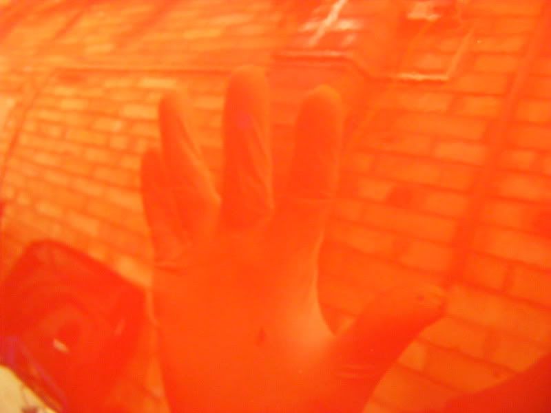 Picture022.jpg