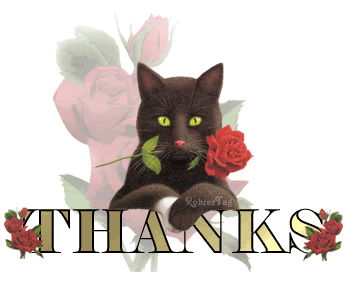 thanks-cat w/rose