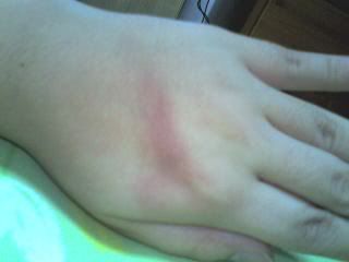 Image hosted by Photobucket.com