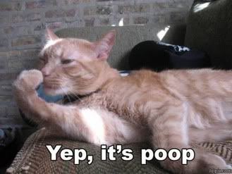 Catmacropoop.jpg