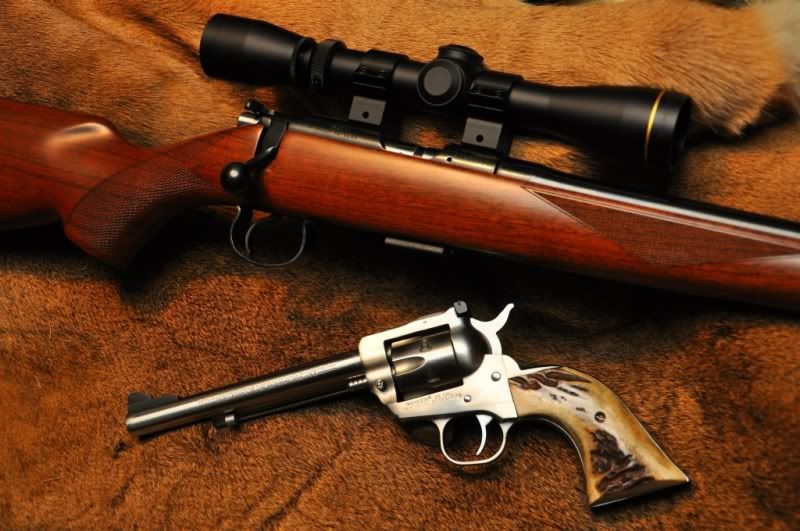 CZ452American.jpg