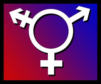 1980s Transexuals Post Op Transexual Genitals